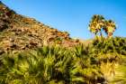 USA, California, Anza Borrego Desert State Park. Palm trees and rocky hillside at oasis. Art Print